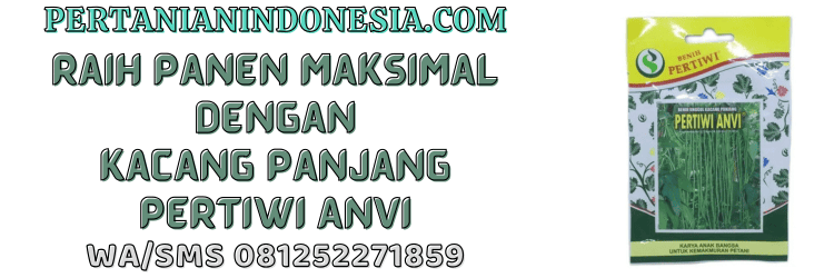 jual,murah,terjangkau,toko pertanian terdekat,pertanian indonesia